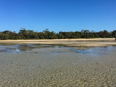 Rosebud Beach - All You Need to Know BEFORE You Go (with Photos)